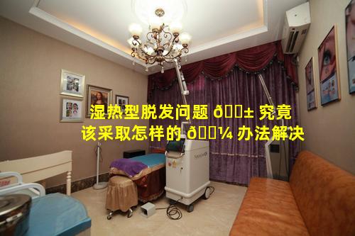 湿热型脱发问题 🐱 究竟该采取怎样的 🐼 办法解决